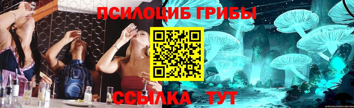 Галлюциногенные грибы мицелий  Вход с VPN  Гусев 