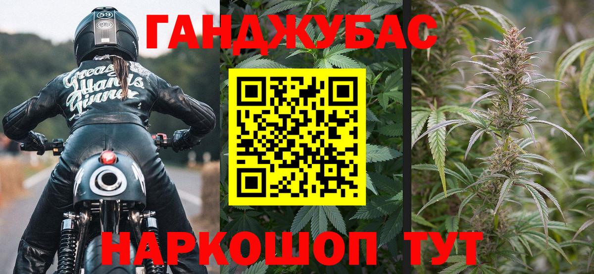 Бошки Шишки тримм  Вход с VPN  Гусев  Бошки марихуана марихуана  Марихуана сатива 